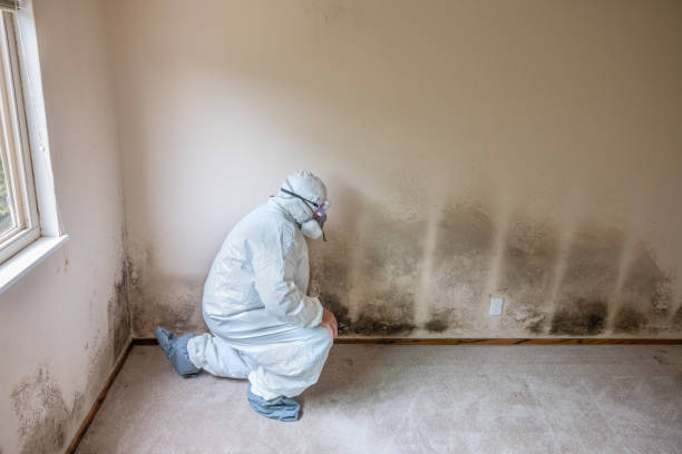 Forensic Mold Investigation in Lake Cherokee, TX